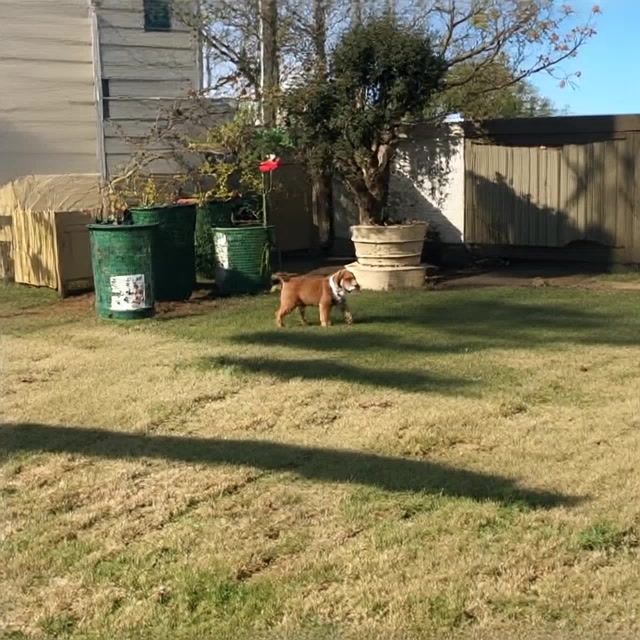 video d1aqfzfyrnrm80cr3yvbsatq6r